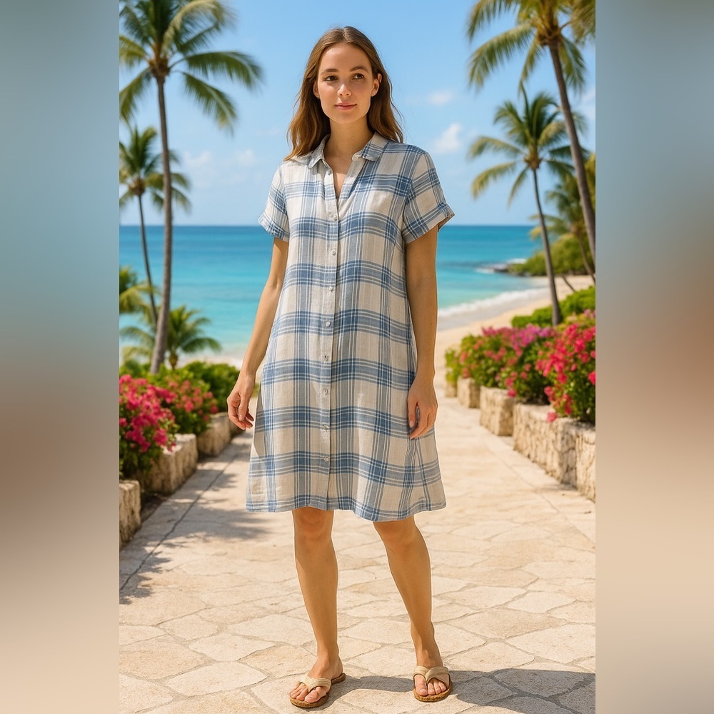 Like New! J.Jill Blue and White Plaid Button-Front Shirt Dress